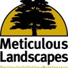 Meticulous Landscapes