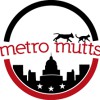Metro Construction