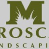 Metroscapes Landscaping