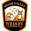 Miami Valley Wildlife Control