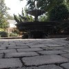 Michael's Unique Landscaping