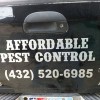 Affordable Pest Control