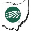 Midohio Energy