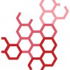 Miromatrix Medical