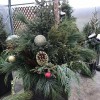 Missinne Greenhouse & Landscape