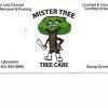 Mister Tree