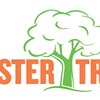 Mister Tree Service