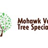Mohawk Valley Tree Specialist's