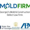 Mold Firm