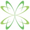 Elite Mold Services