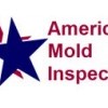 American Mold Inspection