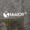 MoldOff