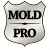 Mold Pro Chicago