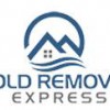 Mold Removal Express