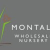 Montale Gardens