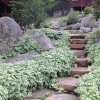 Land E-Scapes