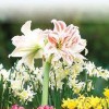 Lawn & Garden Products
