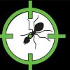 More 4 Less Pest Control