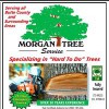 Morgan Tree Service