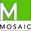 Mosaic Construction