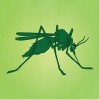 MosquitoMate