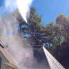 Moss Boss Roof Cleaning & House Washing