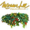 Mosser Lee