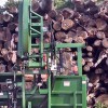 Mario Pelletier Tree Removal