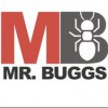 Mr. Buggs Pest Patrol