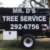 D's Tree & Stump Removal Mr