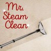 Mr Steam Clean