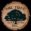 Mr. Tree