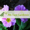 Mt Tam Gardener Services