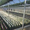 Myers Nursery