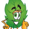Nature's Way Cleaning & Restoration
