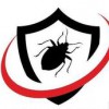 Innovative Pest Solutions