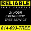 Reliable Tree Service Of Pennsylvania