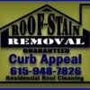 Curb Appeal Roof Cleaning