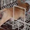 Stan's Appliance