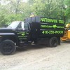 Nationwide Tree Discount Service