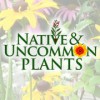 Native & Uncommon Plants