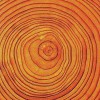 Natural Directions