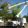 Natural High Tree Service