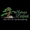 Nature Perfect Landscape & Design