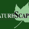 Nature Scape