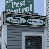New Bedford Pest