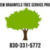 New Braunfels Tree Service Pros