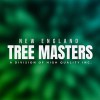 New England Tree Masters & Landscape
