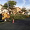 New Heights Tree Service