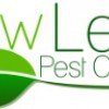 New Leaf Pest Control